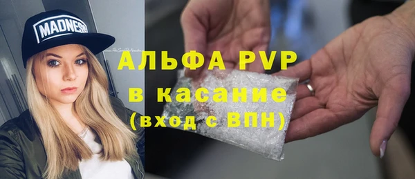 ешки Белокуриха