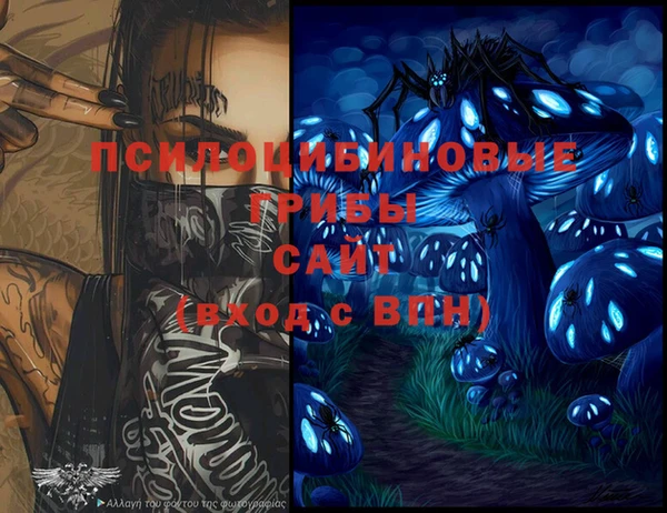 твердый Карпинск