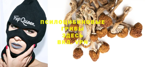 ПСИЛОЦИБИНОВЫЕ ГРИБЫ Беломорск